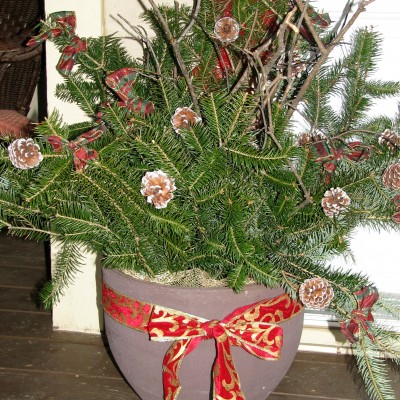 Christmas Container and Outdoor Decoration Ideas