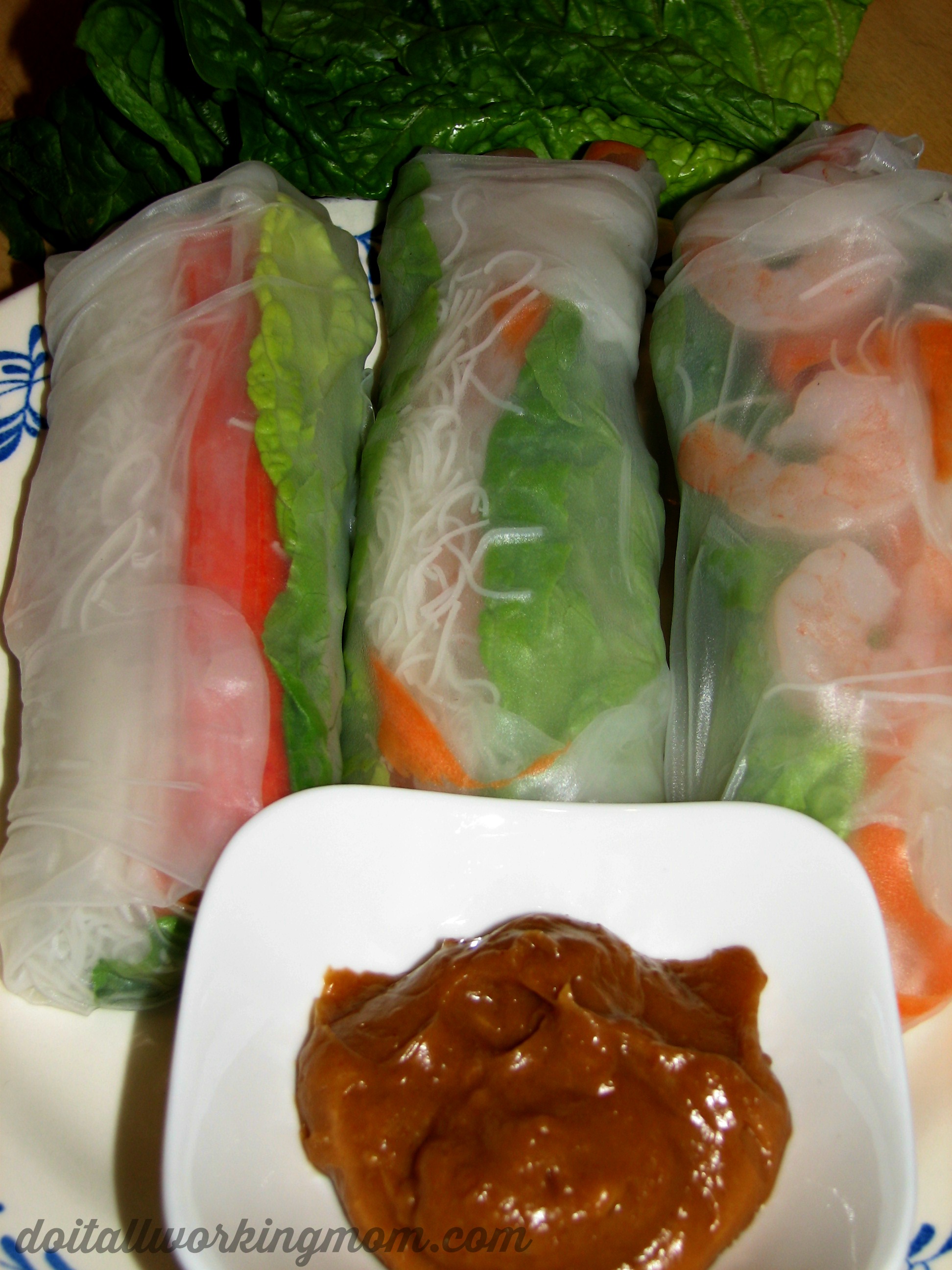 Shrimp Spring Rolls With Peanut Sauce