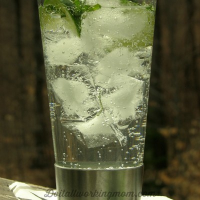 Vodka Club Soda