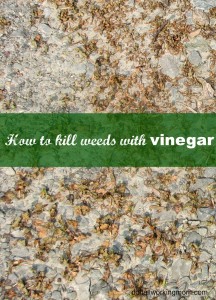 Do It All Working Mom - How to kill weeds with vinegar