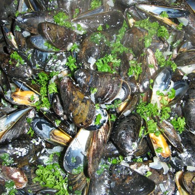 Mussels in Creamy Sauce