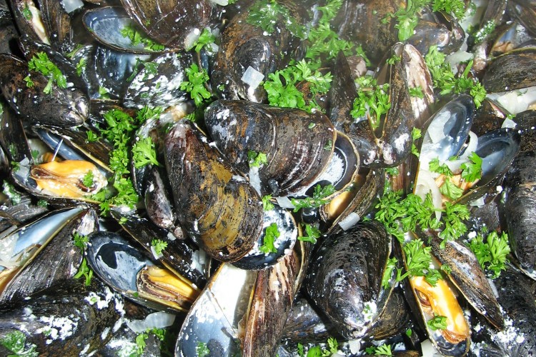 Do It All Working Mom - Mussels in creamy sauce