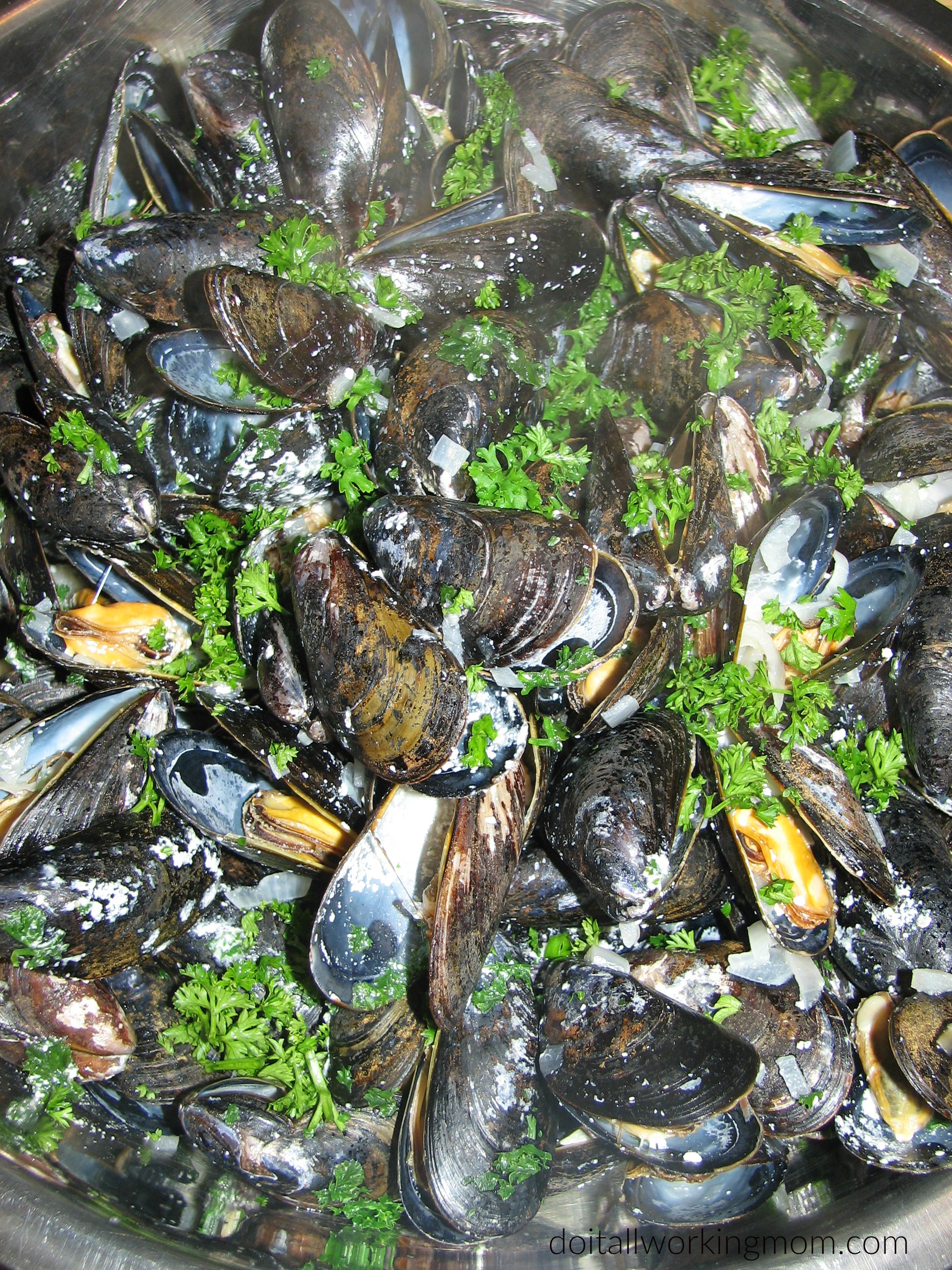 Mussels in Creamy Sauce