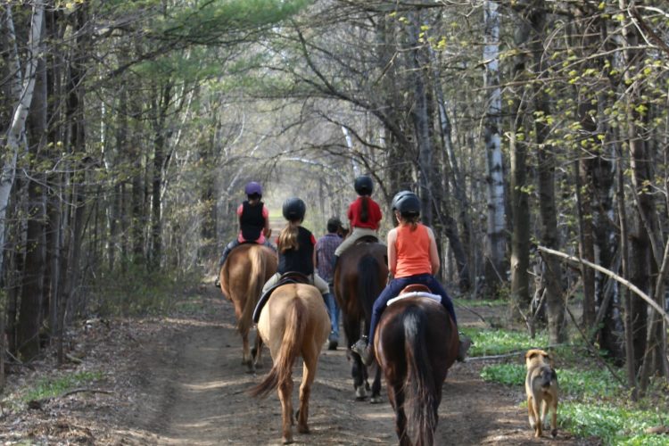 Benefits horseback riding for kids