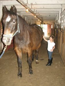 Benefits horseback riding for kids