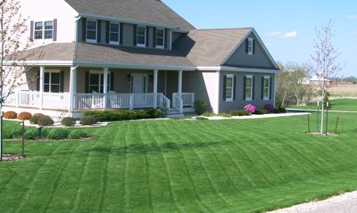 How to get a great lawn