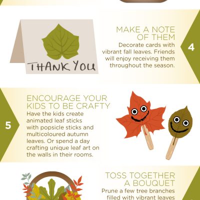 How to re-use fallen leaves