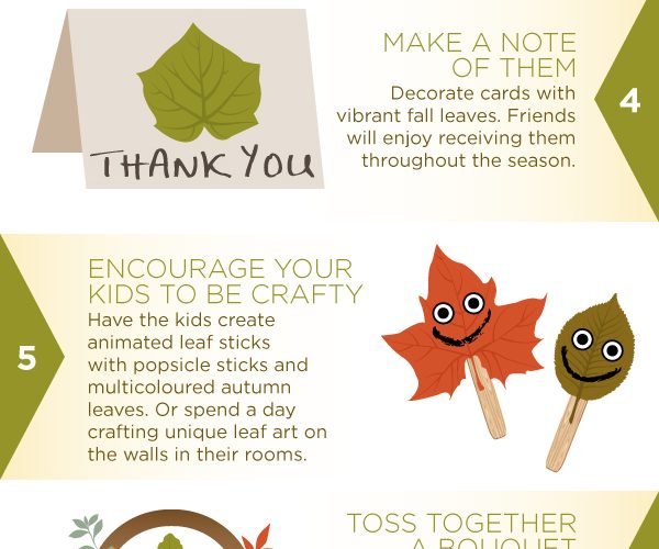 How to re-use fallen leaves
